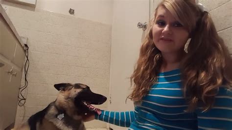 women who fuck dogs|Dog fucks woman in gorgeous missionary at home